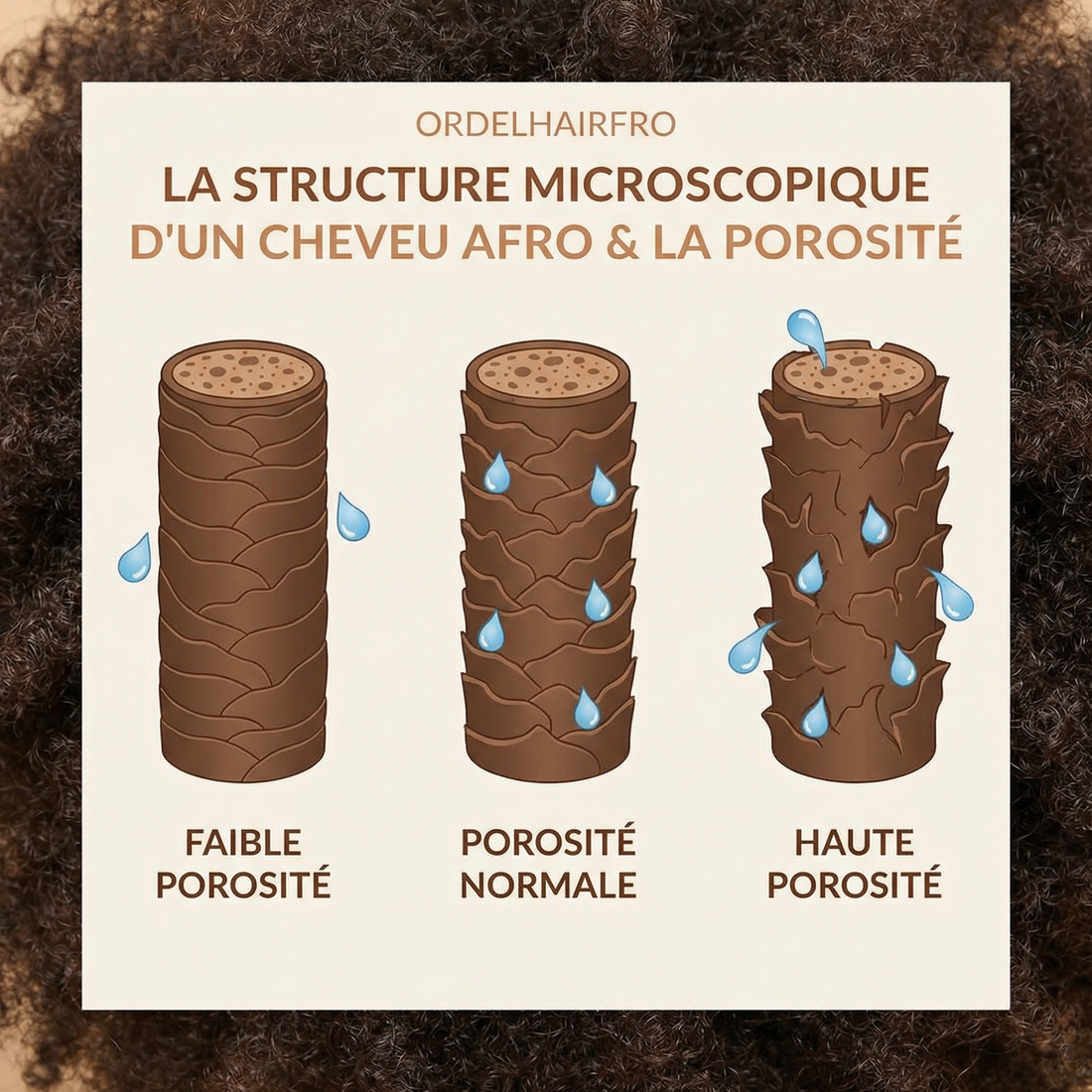 Porosité des cheveux texturés : comment adapter ton hydratation selon ton profil (types 3A à 4C)