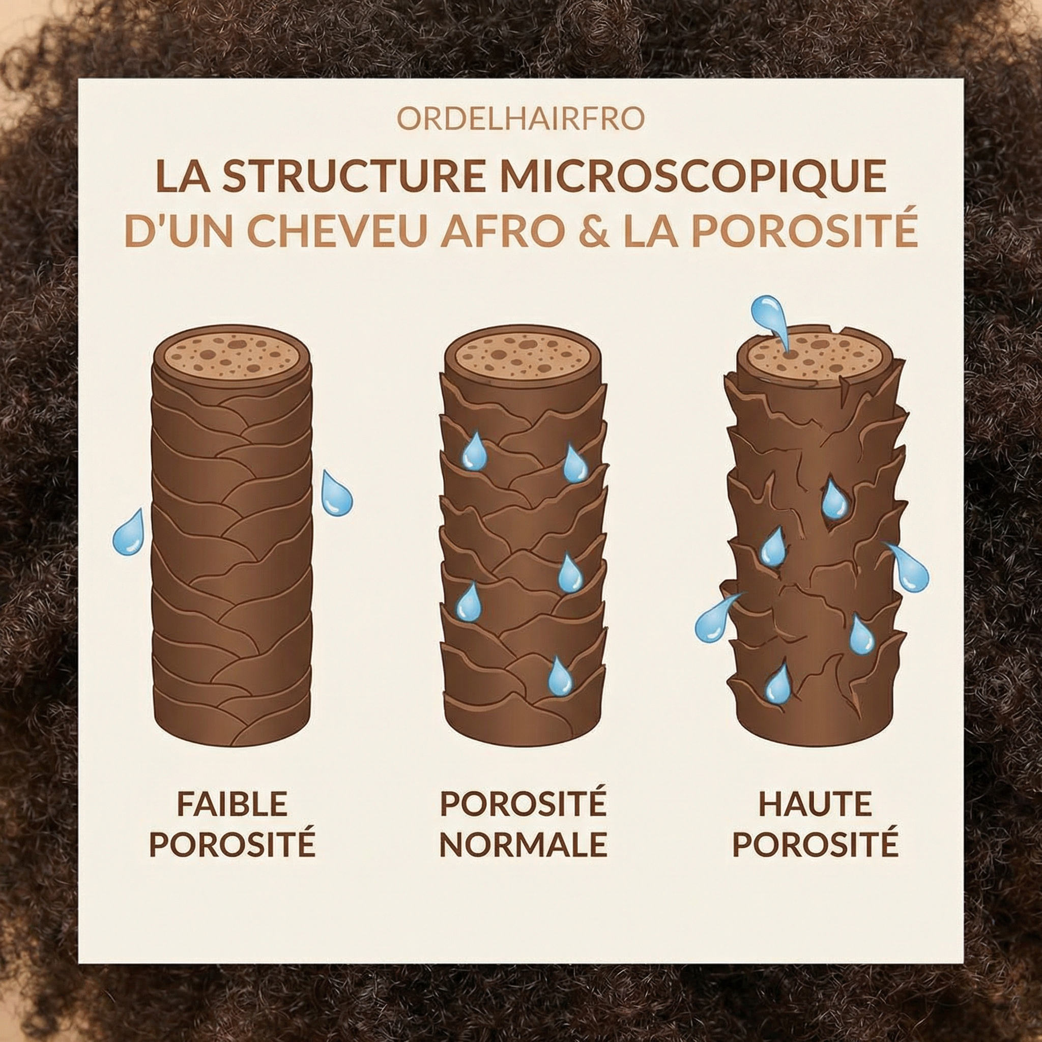 Porosité des cheveux texturés : comment adapter ton hydratation selon ton profil (types 3A à 4C) Bild