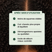 🧊 Shampoing Purifiant au Soufre organique – Équilibre & Fraicheur | CURASCALP