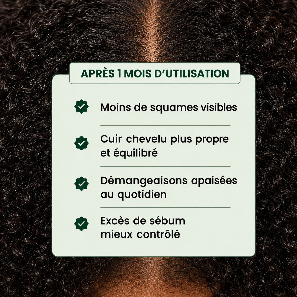 🧊 Shampoing Purifiant au Soufre organique – Équilibre & Fraicheur | CURASCALP