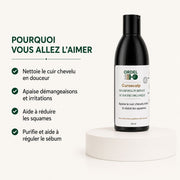 🧊 Shampoing Purifiant au Soufre organique – Équilibre & Fraicheur | CURASCALP