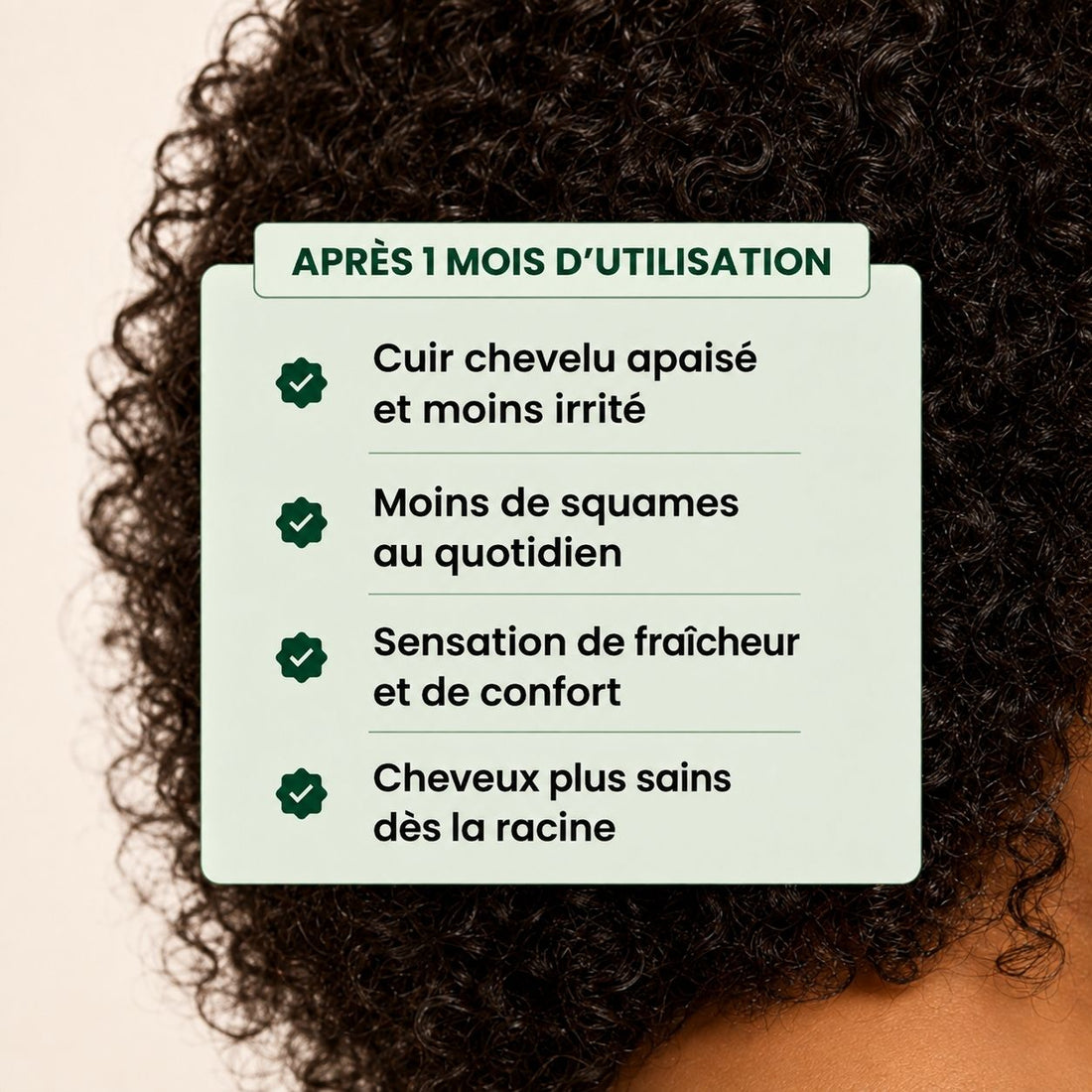 ✈️ Kit Voyage & Découverte –  Duo Détoxiques curascalp (2 x 100 ml)