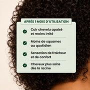 ✈️ Kit Voyage & Découverte –  Duo Détoxiques curascalp (2 x 100 ml)
