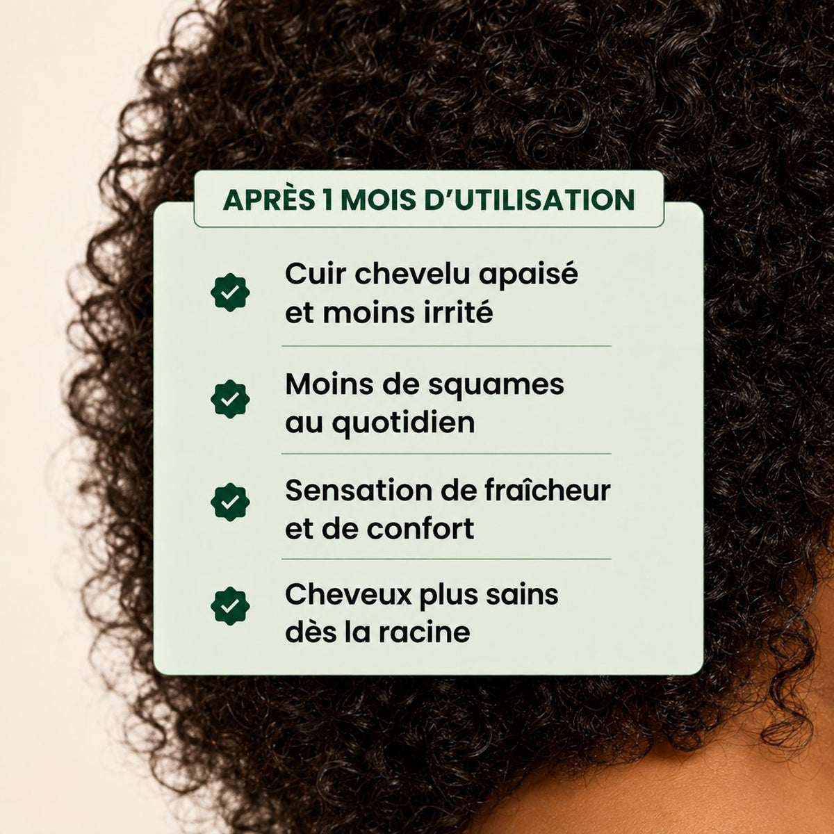 ✈️ Kit Voyage & Découverte –  Duo Détoxiques curascalp (2 x 100 ml)